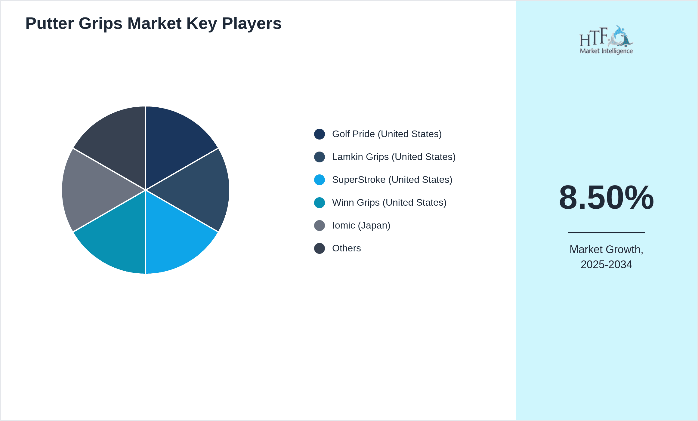 Putter Grips Market Share by Key Players